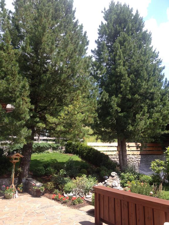 Pension Edelweiss Alpbach Dış mekan fotoğraf